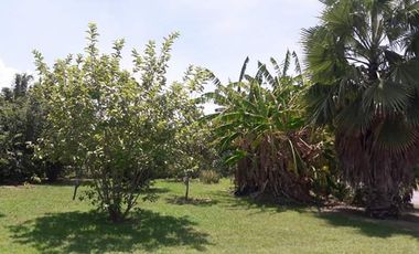 QUINTA CAMPESTRE EN LAS CAROLINAS CADEREYTE JIMENEZ