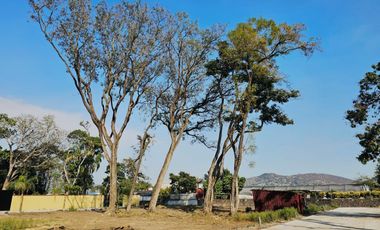 Pre Venta Terrenos Jiutepec, Morelos