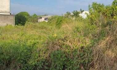 Terreno de venta en Av León Febres Cordero