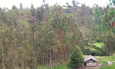 TERRENO EN VENTA, DE 17.946m2 EN EL VALLE, SECTOR SAN ANTONIO DE MALUAY