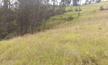 TERRENO EN VENTA, DE 17.946m2 EN EL VALLE, SECTOR SAN ANTONIO DE MALUAY