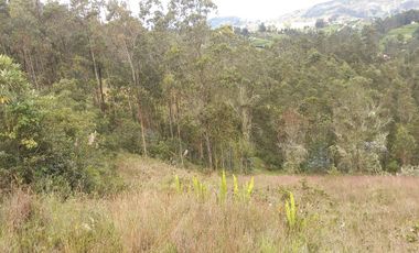 TERRENO EN VENTA, DE 17.946m2 EN EL VALLE, SECTOR SAN ANTONIO DE MALUAY