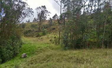 TERRENO EN VENTA, DE 17.946m2 EN EL VALLE, SECTOR SAN ANTONIO DE MALUAY