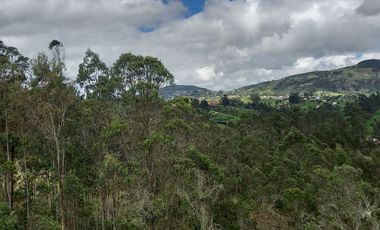 TERRENO EN VENTA, DE 17.946m2 EN EL VALLE, SECTOR SAN ANTONIO DE MALUAY