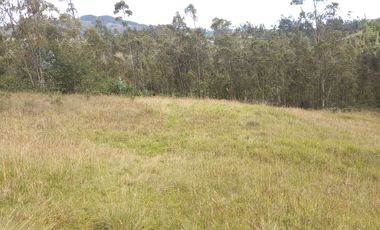 TERRENO EN VENTA, DE 17.946m2 EN EL VALLE, SECTOR SAN ANTONIO DE MALUAY