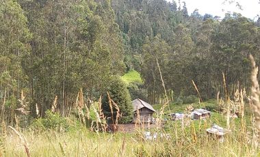 TERRENO EN VENTA, DE 17.946m2 EN EL VALLE, SECTOR SAN ANTONIO DE MALUAY