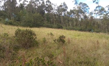 TERRENO EN VENTA, DE 17.946m2 EN EL VALLE, SECTOR SAN ANTONIO DE MALUAY