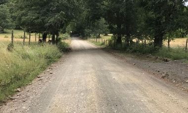 Campo agrícola ganadero *1098