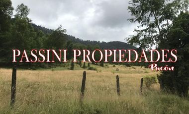 Campo agrícola ganadero *1098