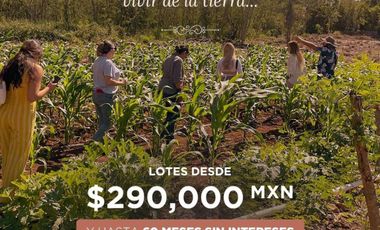 AINA LOTES CAMPESTRES EN VENTA