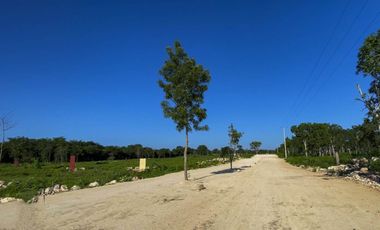 AINA LOTES CAMPESTRES EN VENTA