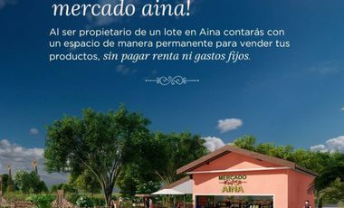 AINA LOTES CAMPESTRES EN VENTA