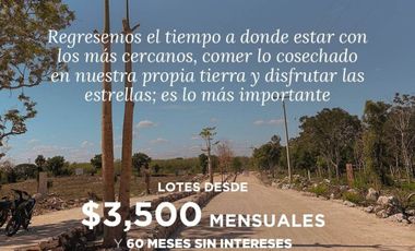 AINA LOTES CAMPESTRES EN VENTA