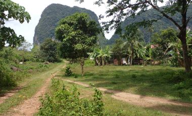 43 Rai  palm plantaion with crystal clear stream surrounded by mountains for sale in Khao Khram, Krabi.