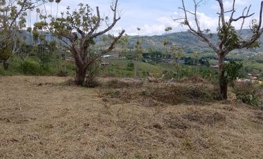 LOTES EN PAVAS LA CUMBRE