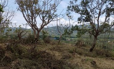 LOTES EN PAVAS LA CUMBRE