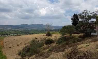 LOTES EN PAVAS LA CUMBRE