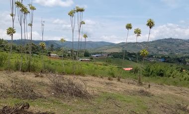LOTES EN PAVAS LA CUMBRE