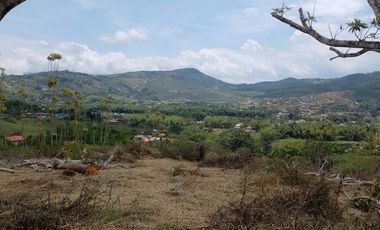 LOTES EN PAVAS LA CUMBRE