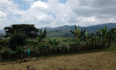 LOTES EN PAVAS LA CUMBRE