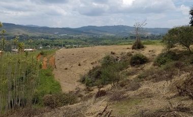 LOTES EN PAVAS LA CUMBRE