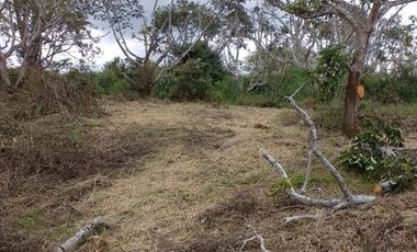 LOTES EN PAVAS LA CUMBRE