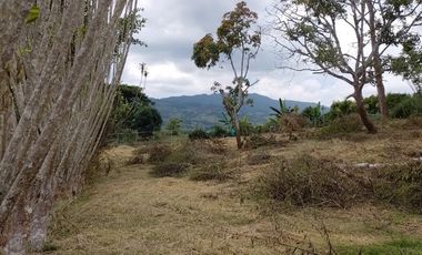 LOTES EN PAVAS LA CUMBRE