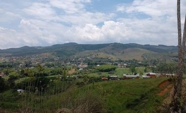 LOTES EN PAVAS LA CUMBRE