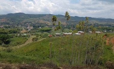 LOTES EN PAVAS LA CUMBRE