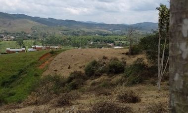 LOTES EN PAVAS LA CUMBRE