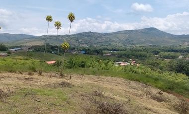 LOTES EN PAVAS LA CUMBRE