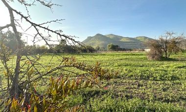 Sitio Av.El Valle, Algarrobos, Chicureo Oriente