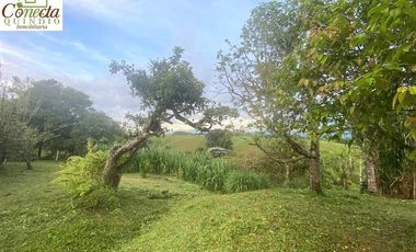 Finca en Venta – Filandia Quindío