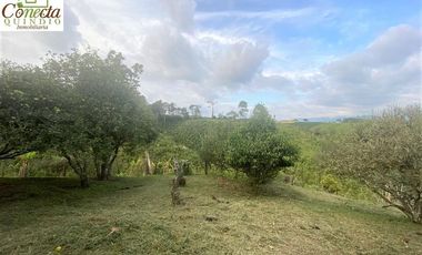 Finca en Venta – Filandia Quindío