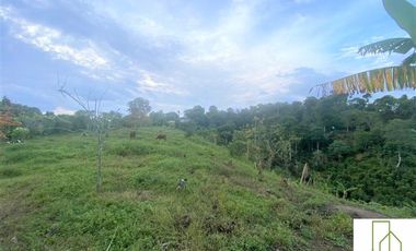 Finca en Venta – Filandia Quindío