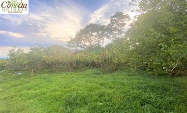 Finca en Venta – Filandia Quindío