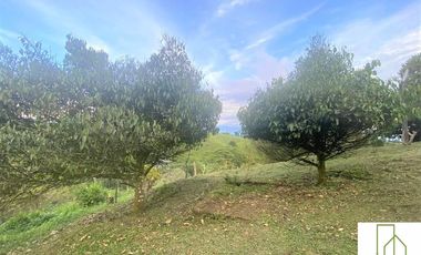 Finca en Venta – Filandia Quindío