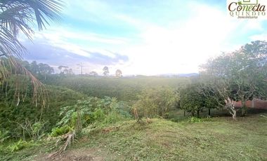 Finca en Venta – Filandia Quindío