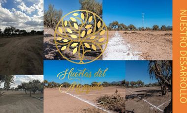 VENTA DE TERRENO CAMPESTRE EN PRIVADA POR AV SAN PEDRO