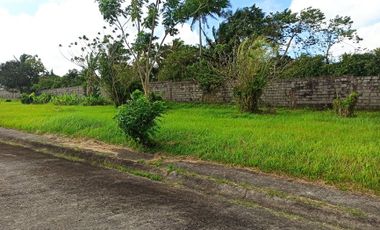 Residential Land in exclusive South Midland Subdivision along Aguinaldo Highway, Silang, Cavite