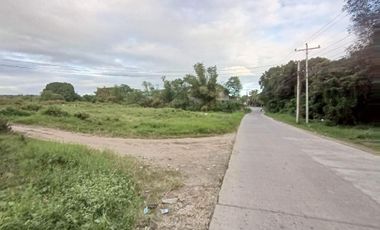 FOR SALE: 4.2 Hectares in Ibaan, Batangas