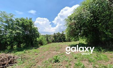 JUAL & LEASEHOLD TANAH PERMATA PERING BLAHBATUH GIANYAR, BALI