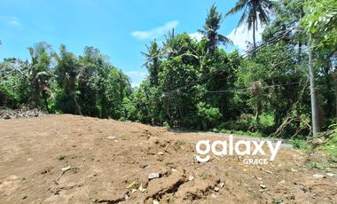 JUAL & LEASEHOLD TANAH PERMATA PERING BLAHBATUH GIANYAR, BALI