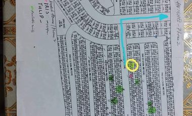 Residential Lot in Princeton Heights Bacoor Cavite for Sale