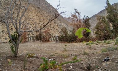 Terreno de 1 hectárea en Paihuano. Valle del Elqui. $53 millones