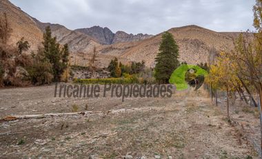 Terreno de 1 hectárea en Paihuano. Valle del Elqui. $53 millones