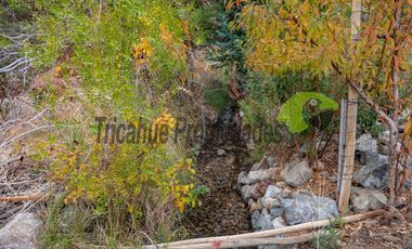 Terreno de 1 hectárea en Paihuano. Valle del Elqui. $53 millones