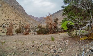 Terreno de 1 hectárea en Paihuano. Valle del Elqui. $53 millones