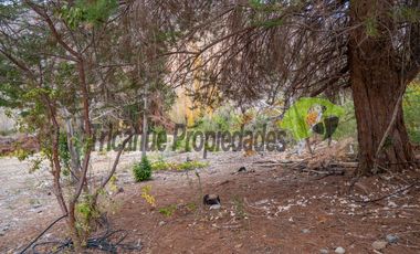 Terreno de 1 hectárea en Paihuano. Valle del Elqui. $53 millones