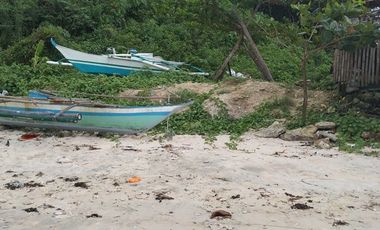 1.9 hectares white sand beach lot for sale in Daanbantayan, Cebu @ P3k/sq.m.